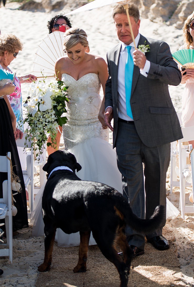 happy couple at wedding with their dog